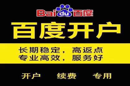 百度推广成功案例分析