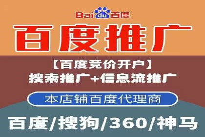 案例分析：SEM推广助力行业竞争突围